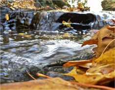 平台在线ddos压力测试